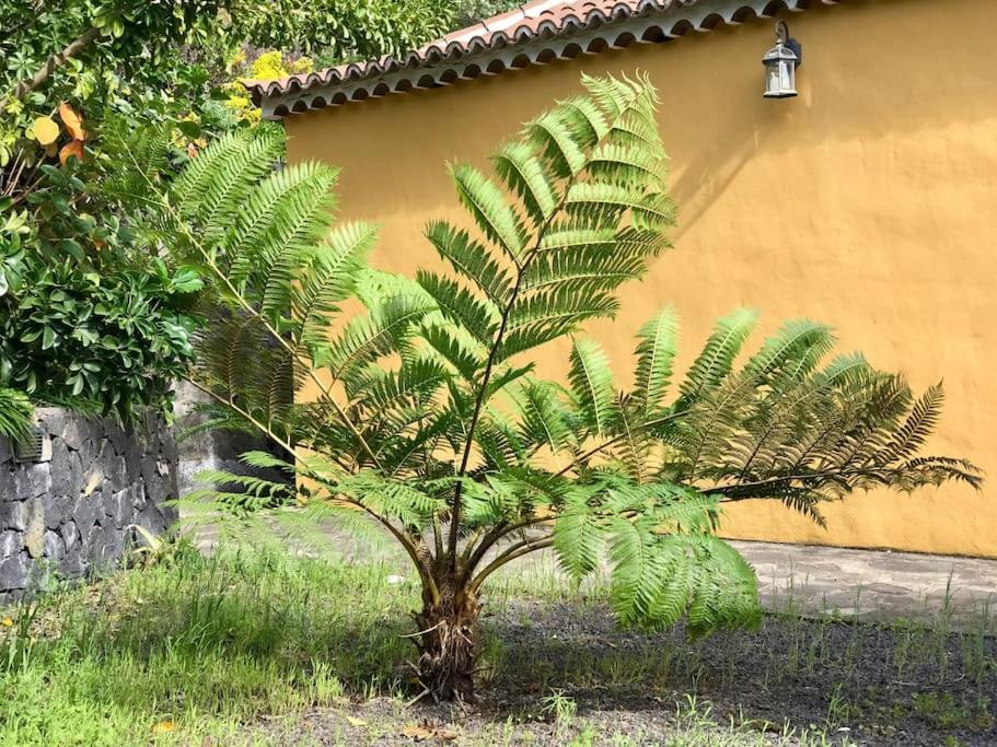 Rustic House La Montana Villa Brena Baja Bagian luar foto